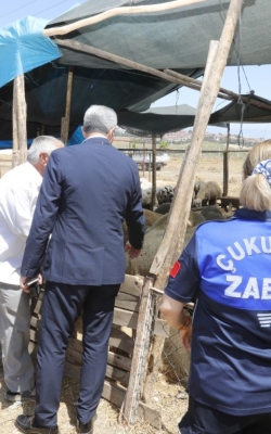 Çukurova Belediyesi Kurban Satış ve Kesim Yerlerini Denetledi̇
