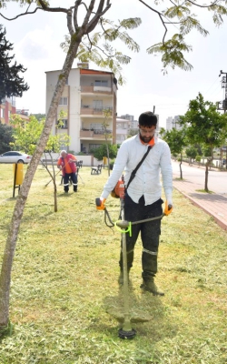 Yabani Otların Temizlenmesi