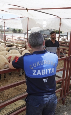 Çukurova Belediyesi Kurban Satış ve Kesim Yerlerini Denetledi̇