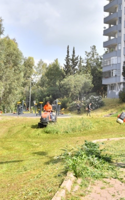Yabani Otların Temizlenmesi