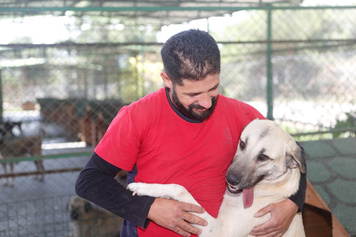 Sokak Hayvanları Rehabilitasyon Merkezi