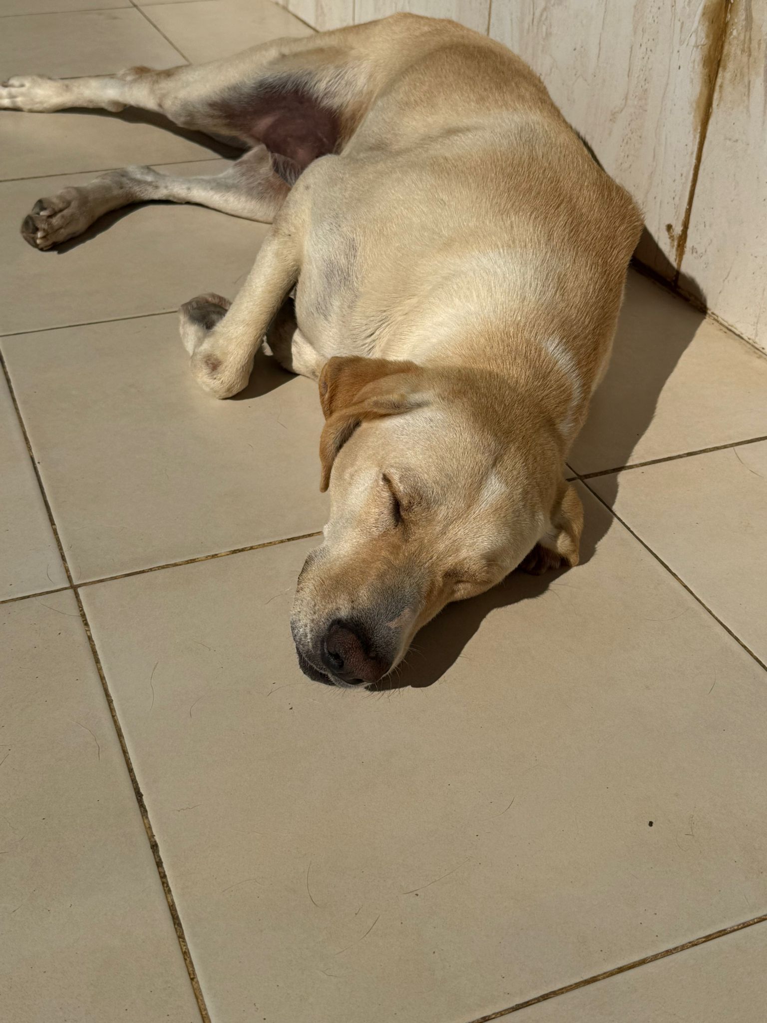 Golden